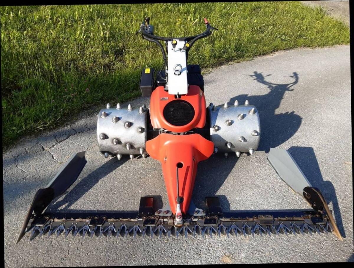 Stachelwalzen Stachelräder Aebi CC36 Motormäher 1
