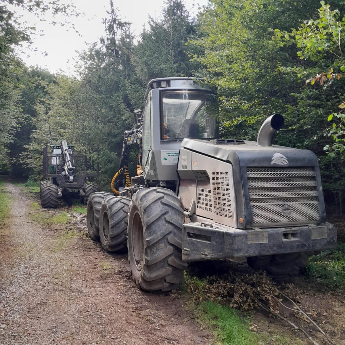 Harvester Logset H6 3