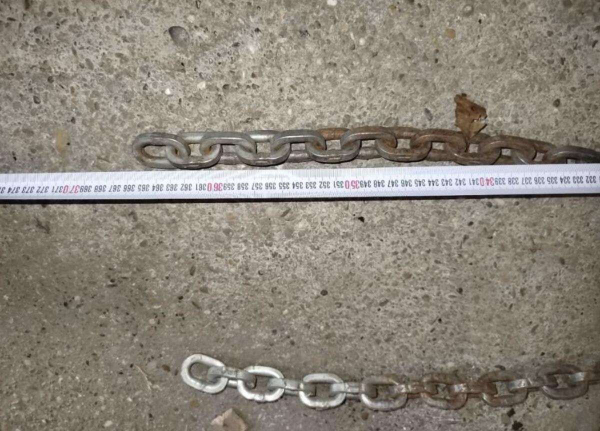 Pewag Doppelspur Schneeketten 3