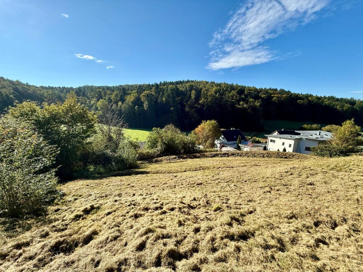 Günstiges und sonniges Baugrundstück mit Genehmigung in Hart 2