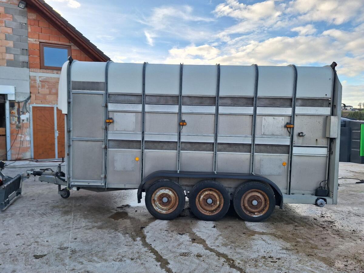 Ifor Williams TA 510 Tridem Viehanhänger 2
