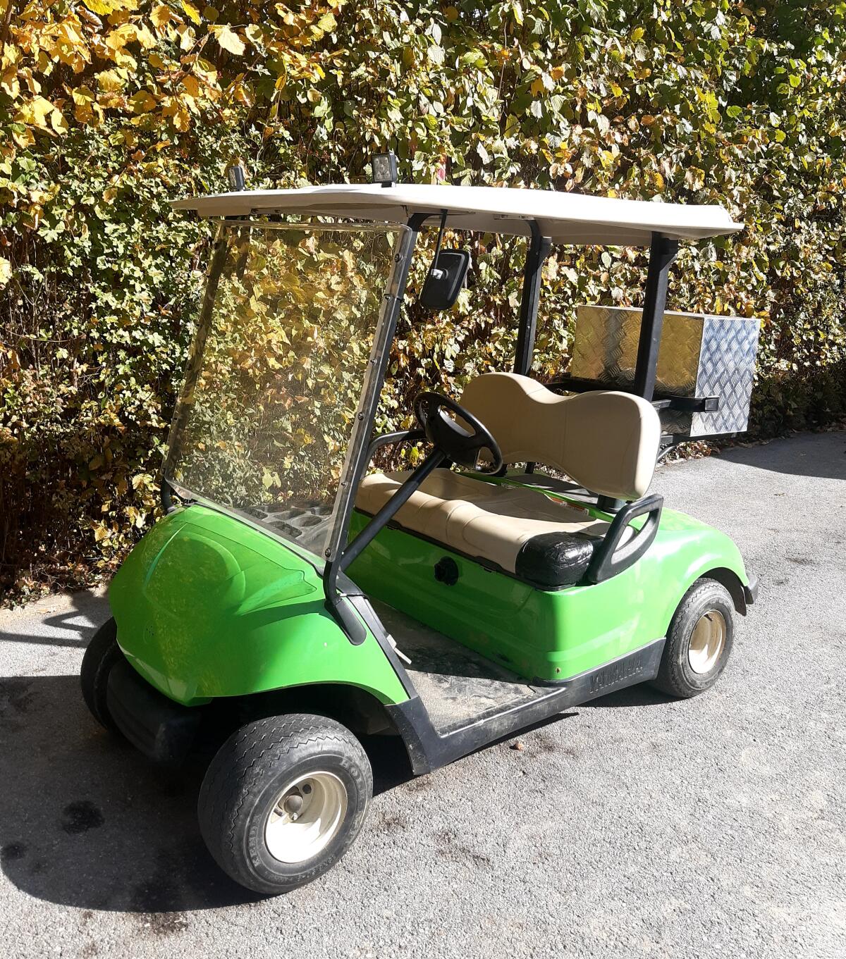 Golfcar, Golfwagen, Golfcart Yamaha G19 1