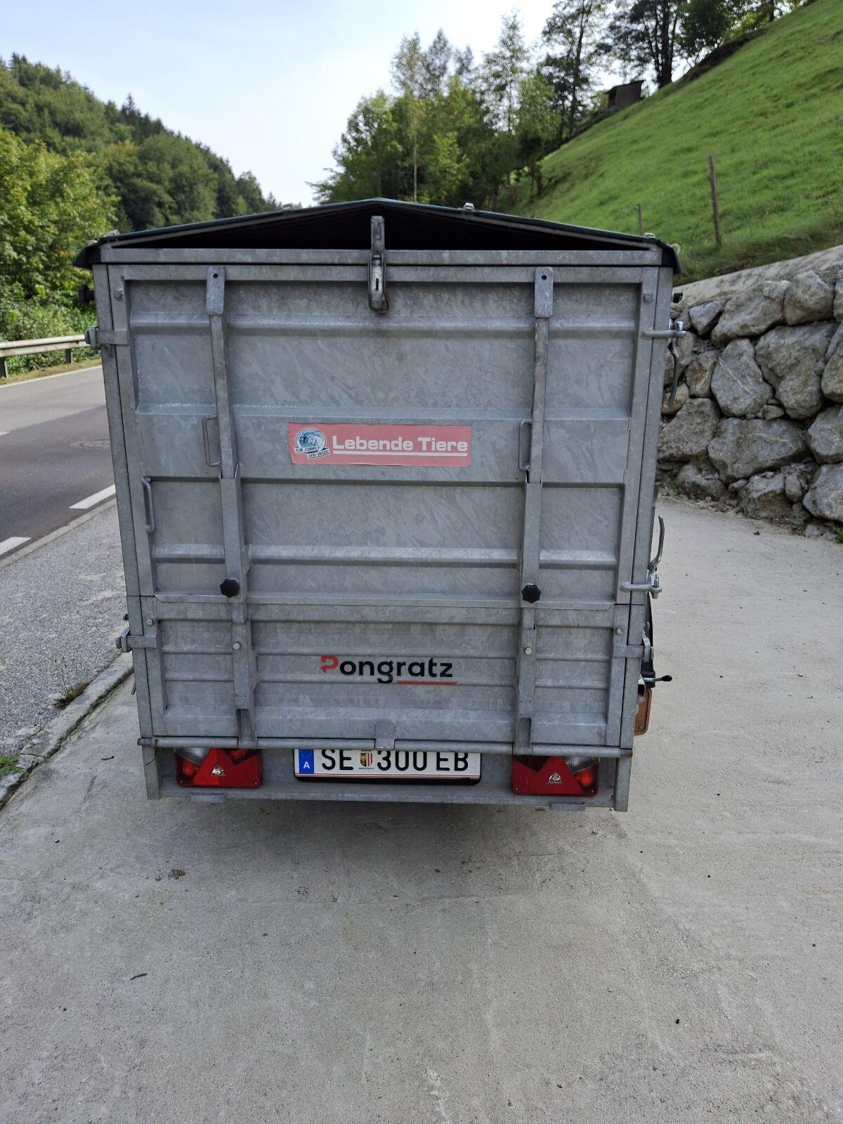 Pongratz Anhänger 3