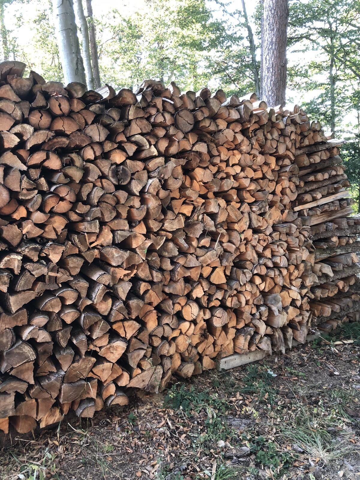 Brennholz Fichte 2