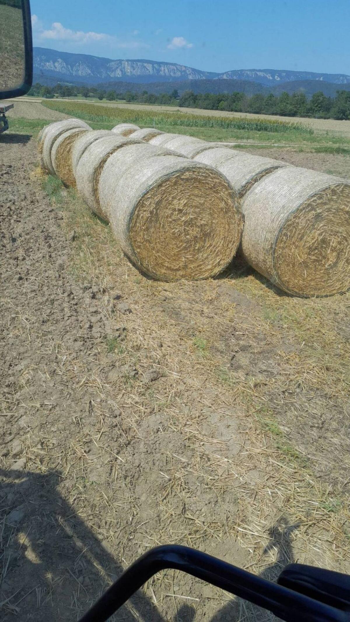 Siloballen, Strohballen, Roggenheu 1