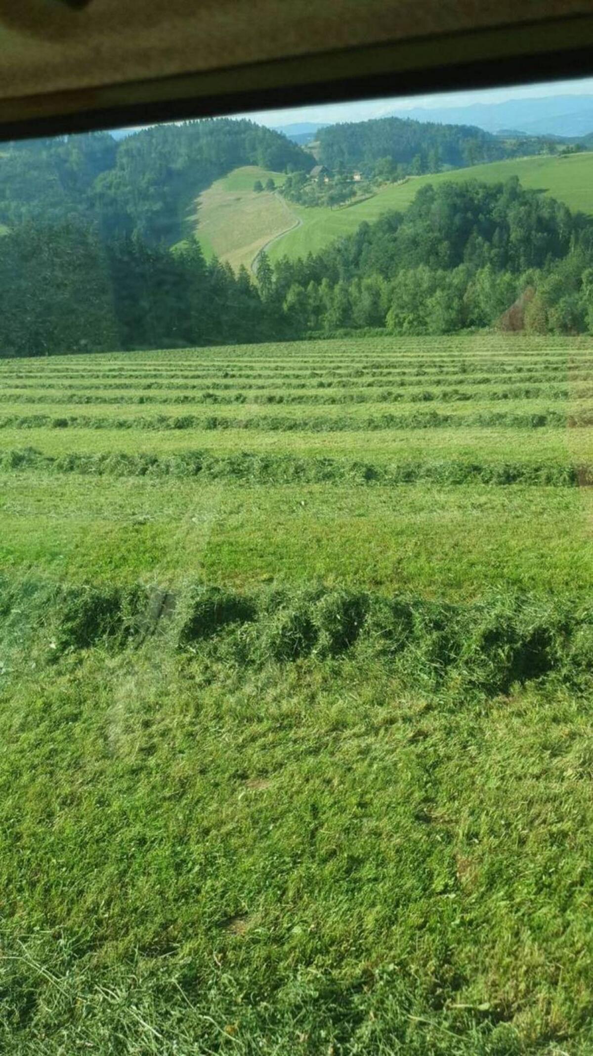 Verkaufe Heu-, Silage- und Maissilageballen 2