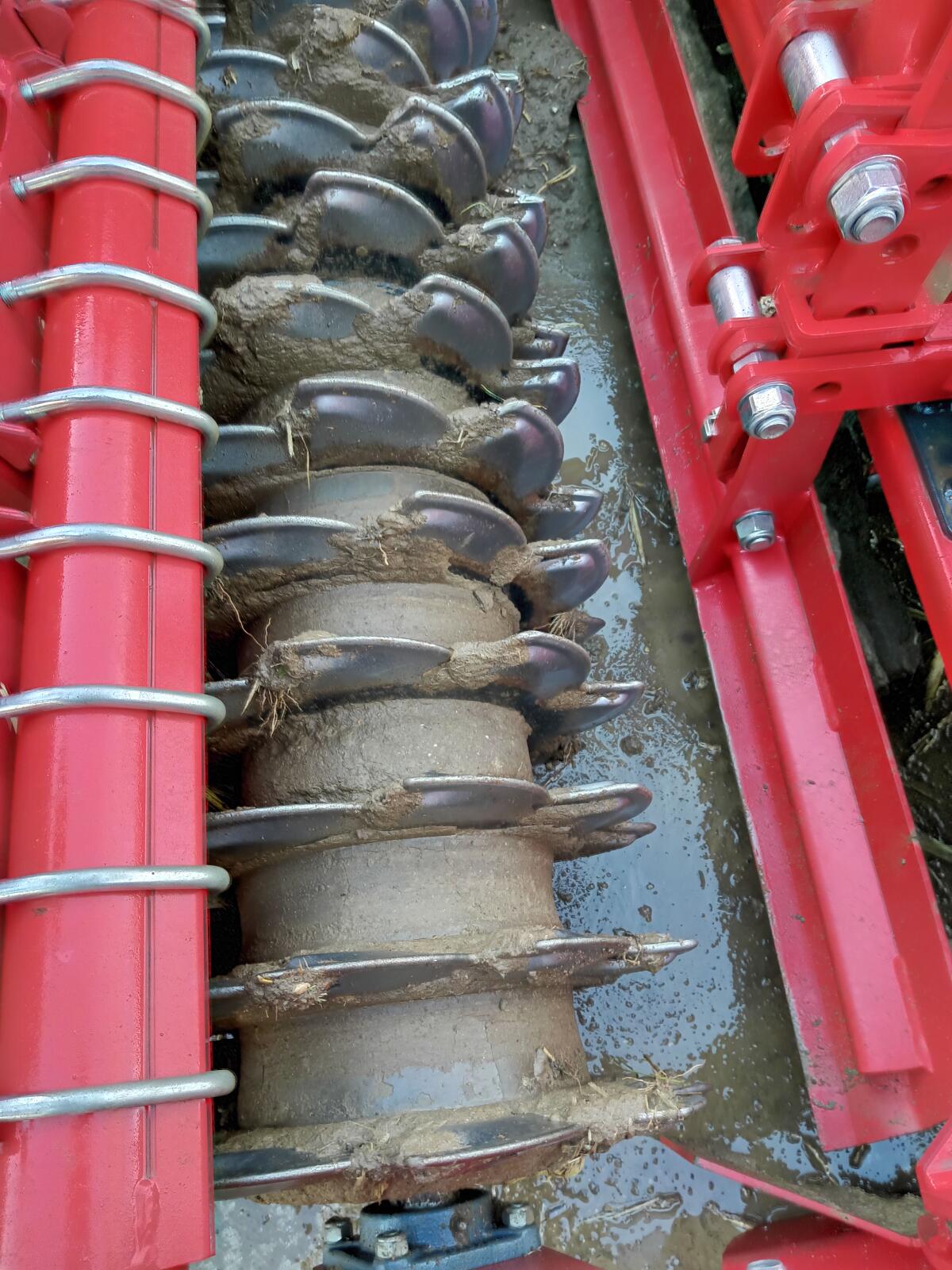 Tulip (Lely) Kreiselegge 3