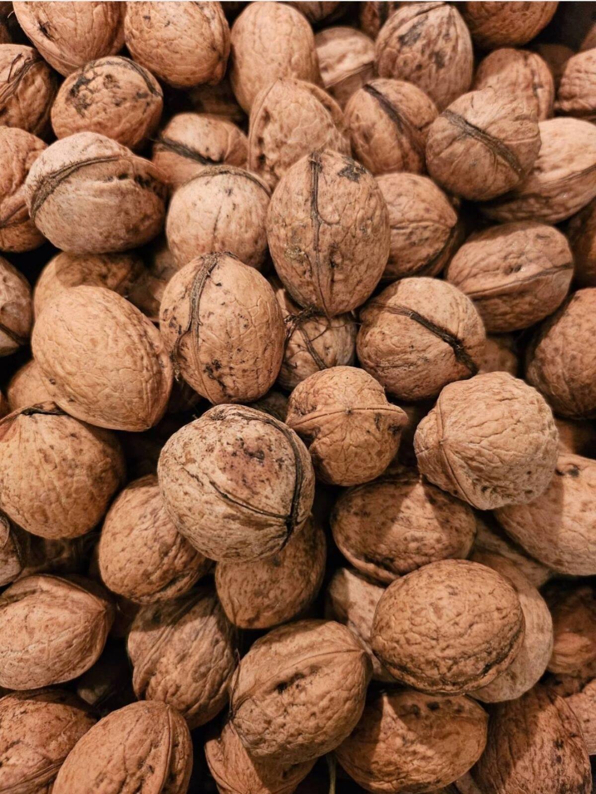Walnüsse heurige Ernte 1