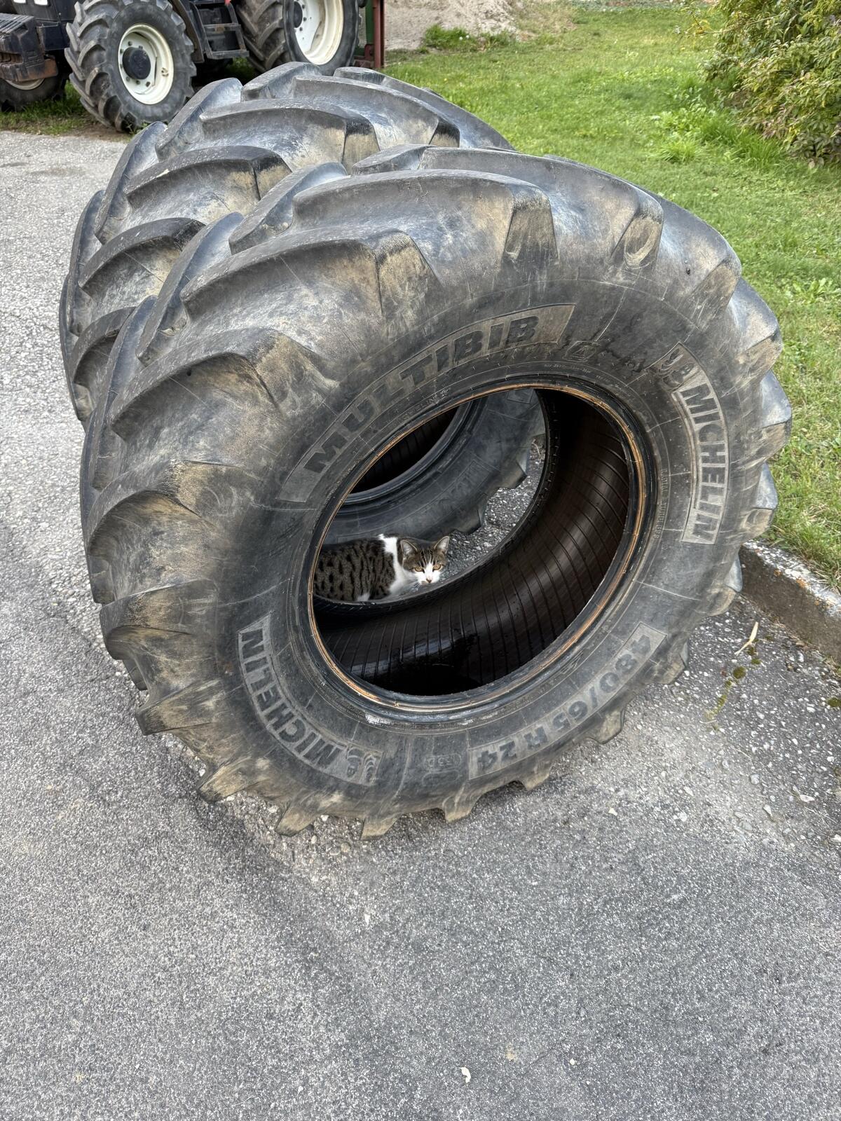 Michelin Multibib 480/65R24 1