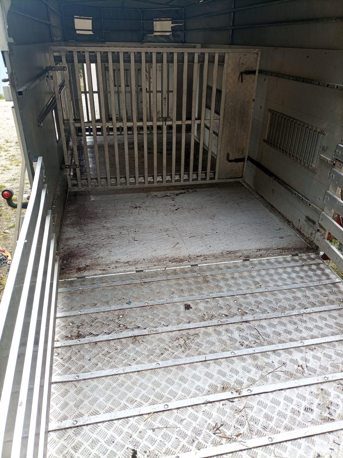 Alf Viehtransporter 3