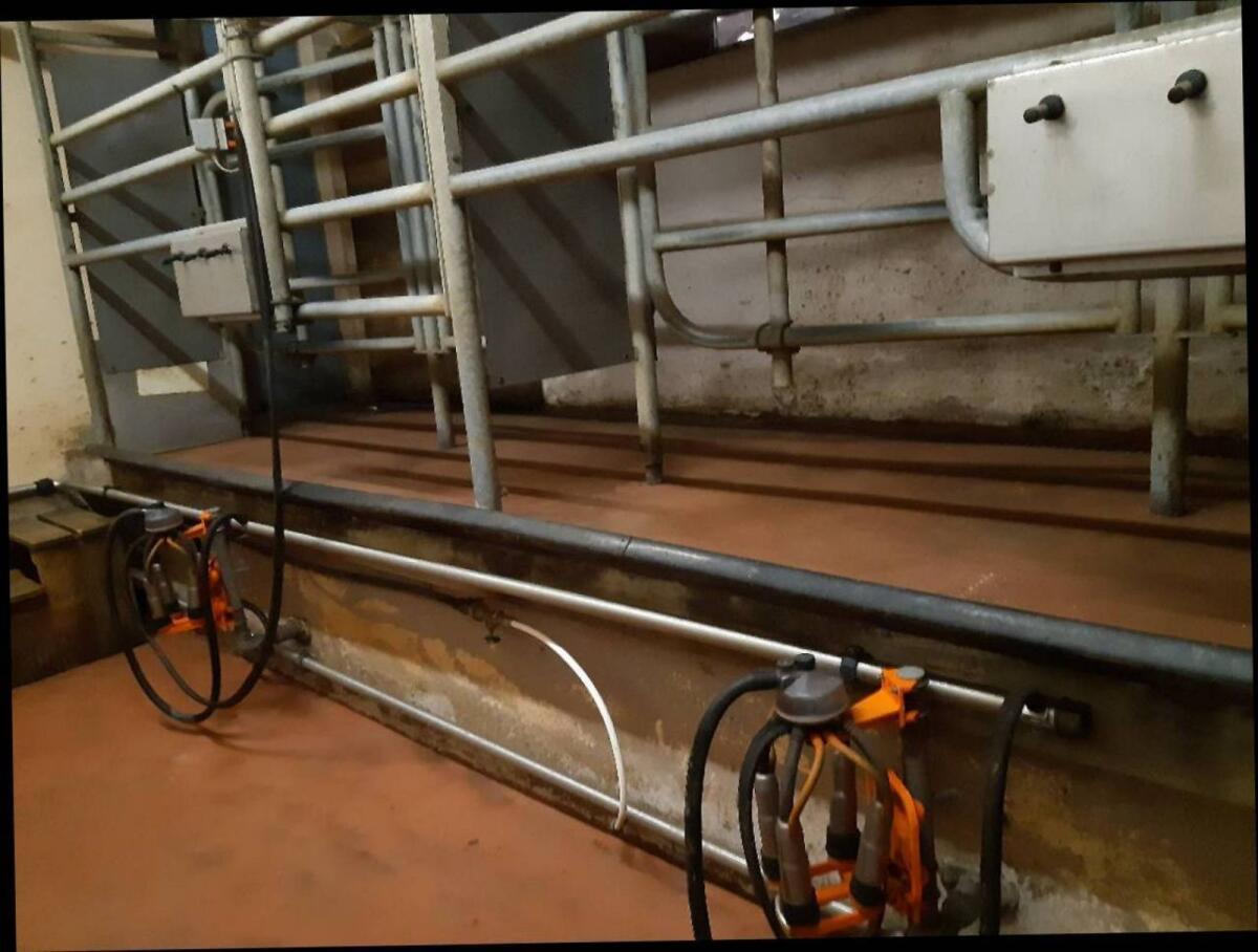 Melkmaschine Melotte Lectronik 2 2