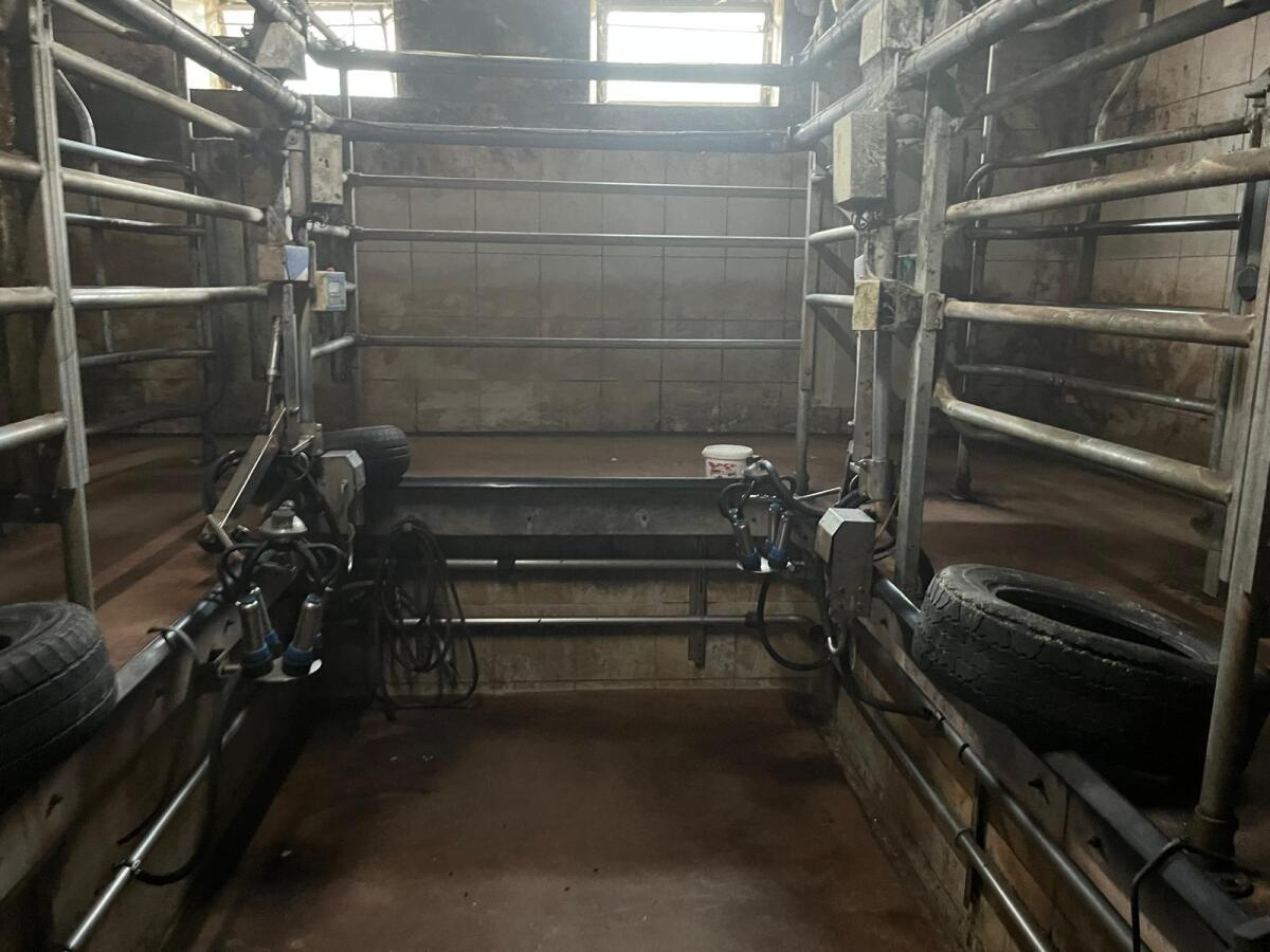 Impulsa 4 Tandemmelkstand Pulsatronic Eco E 1