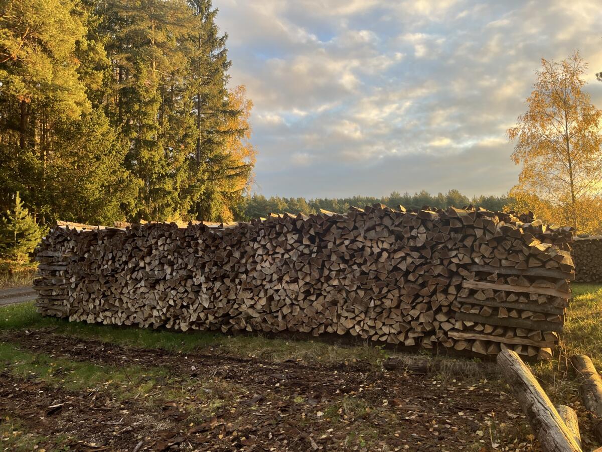 Brennholz Buche Scheiter 3