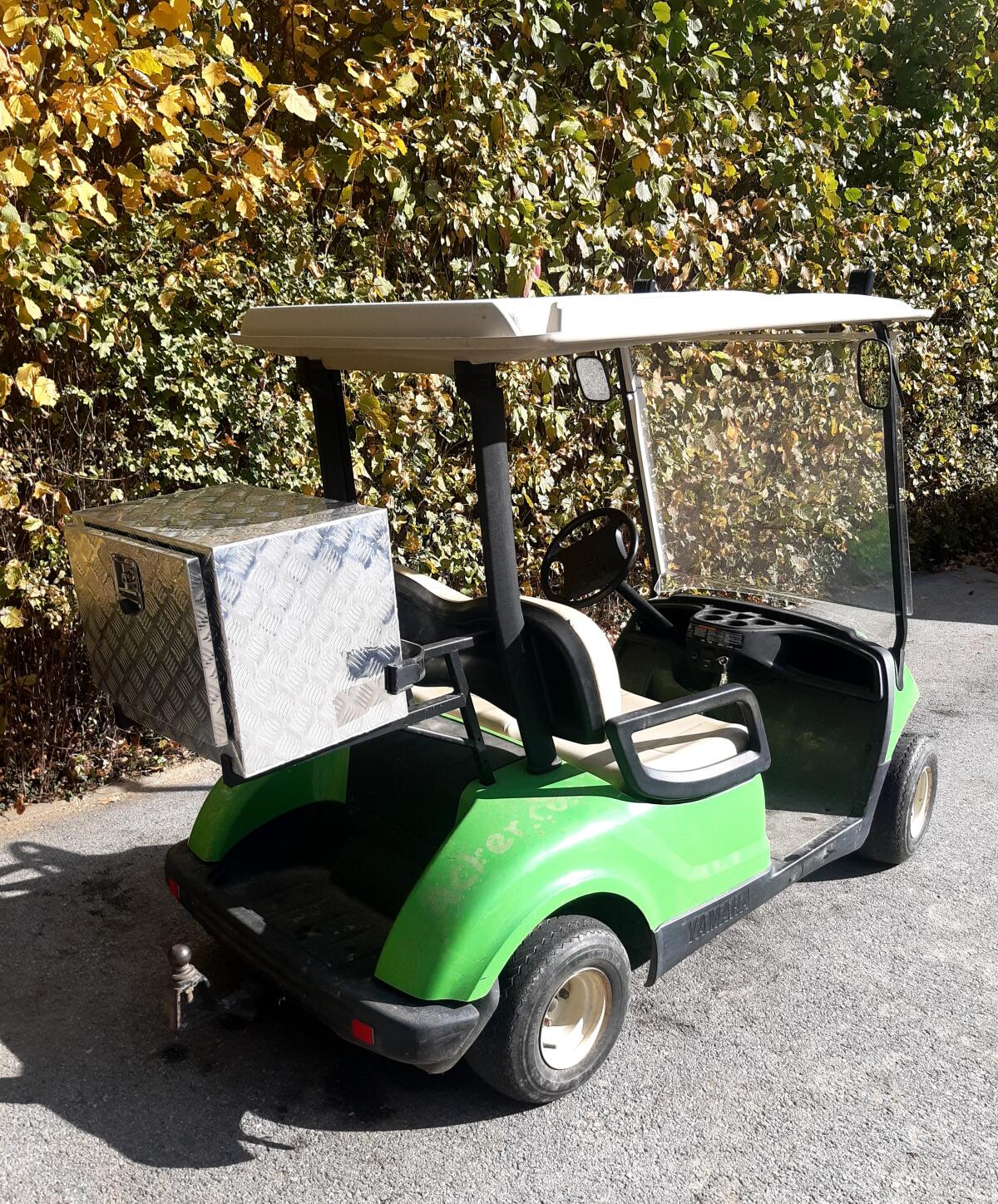 Golfcar, Golfwagen, Golfcart Yamaha G19 3