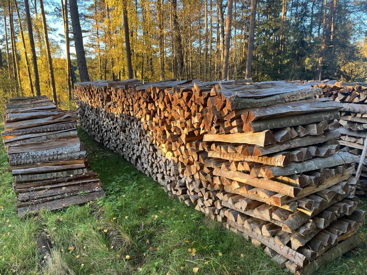 Brennholz Buche Scheiter 1