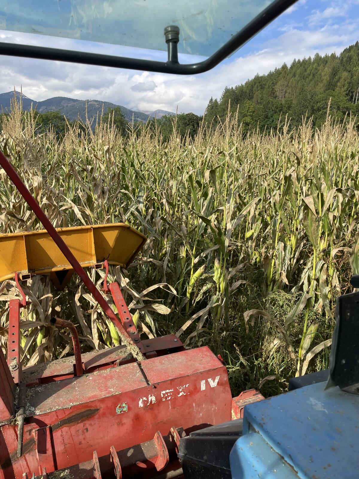 Pöttinger Mex Maishäcksler 3