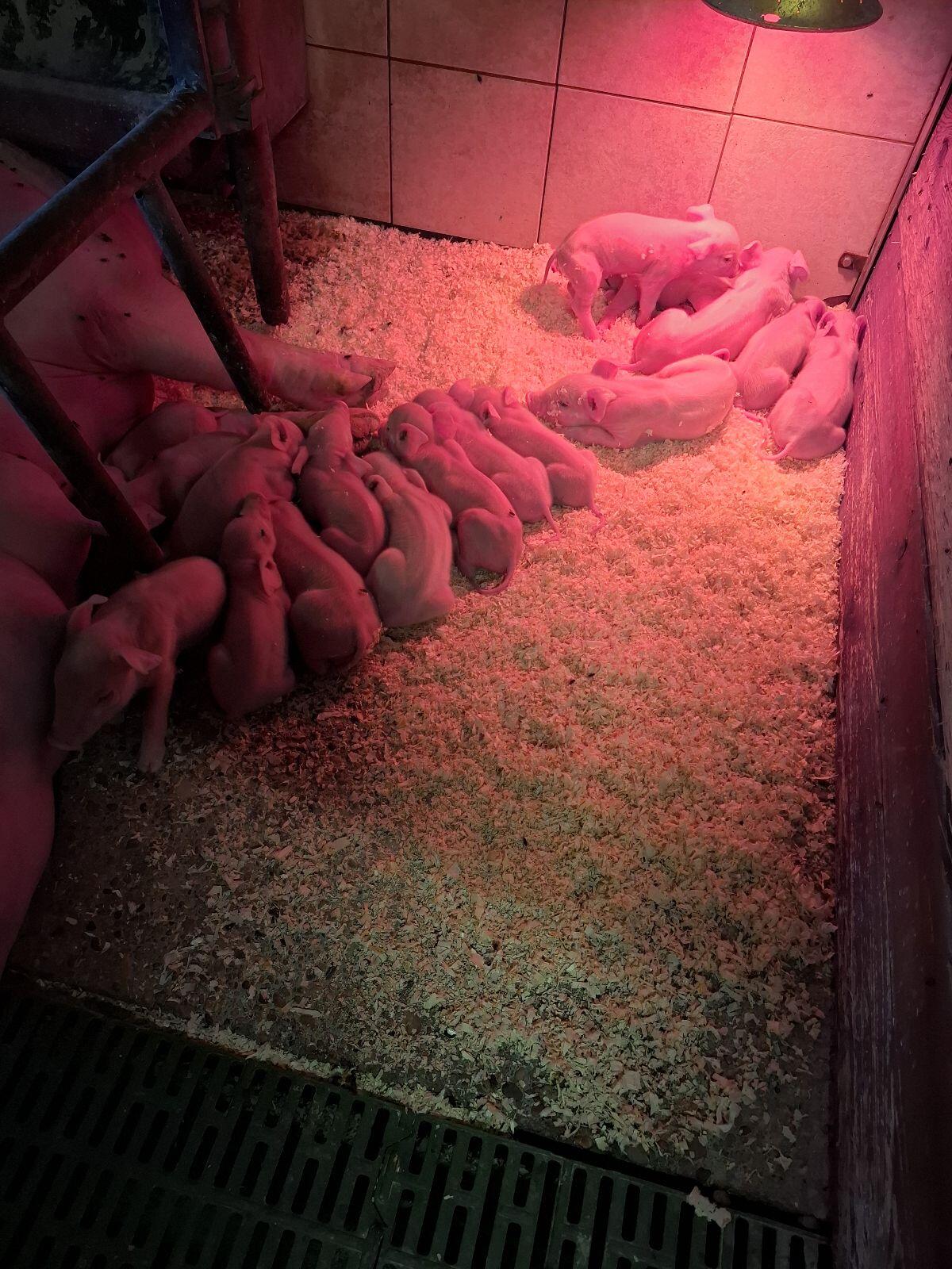 Wir suchen einen Praktikanten/Praktikantin 2