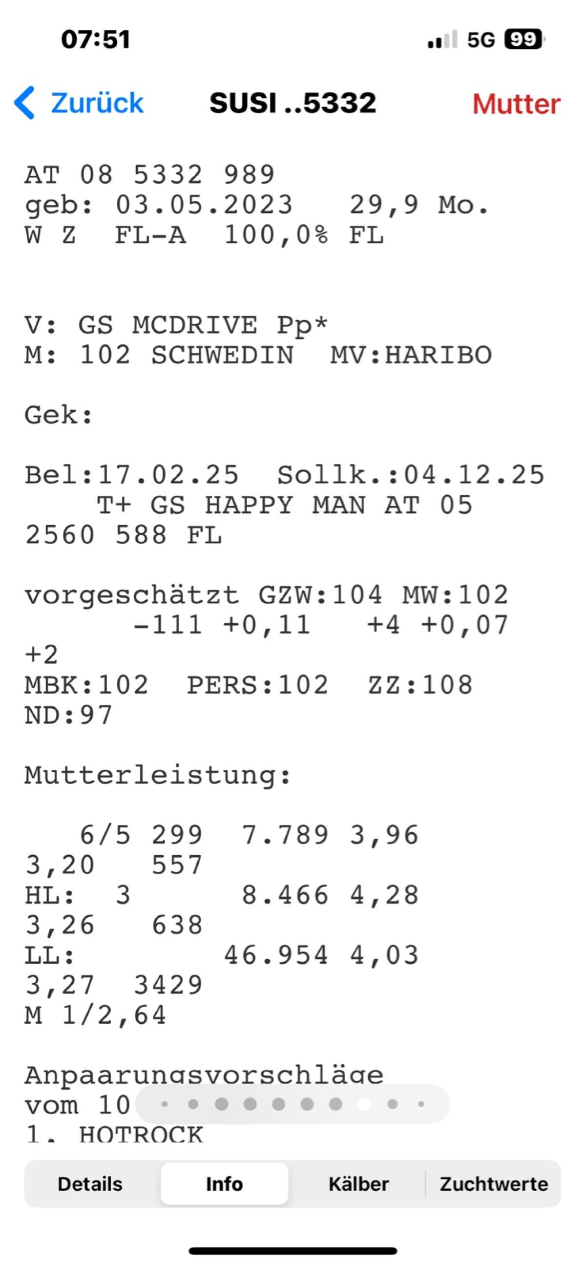 Trächtige Fleckvieh-Kalbinnen zu verkaufen 3