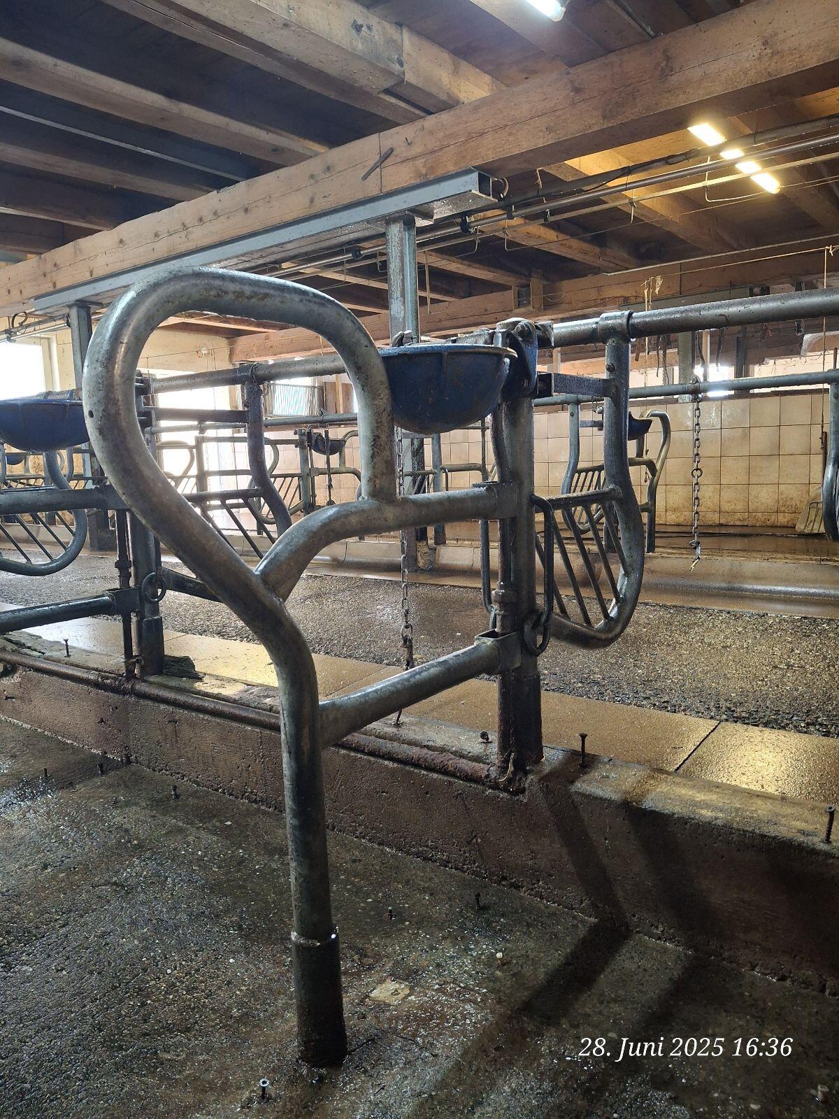 Verkaufe Nackenrohrausstallung 2