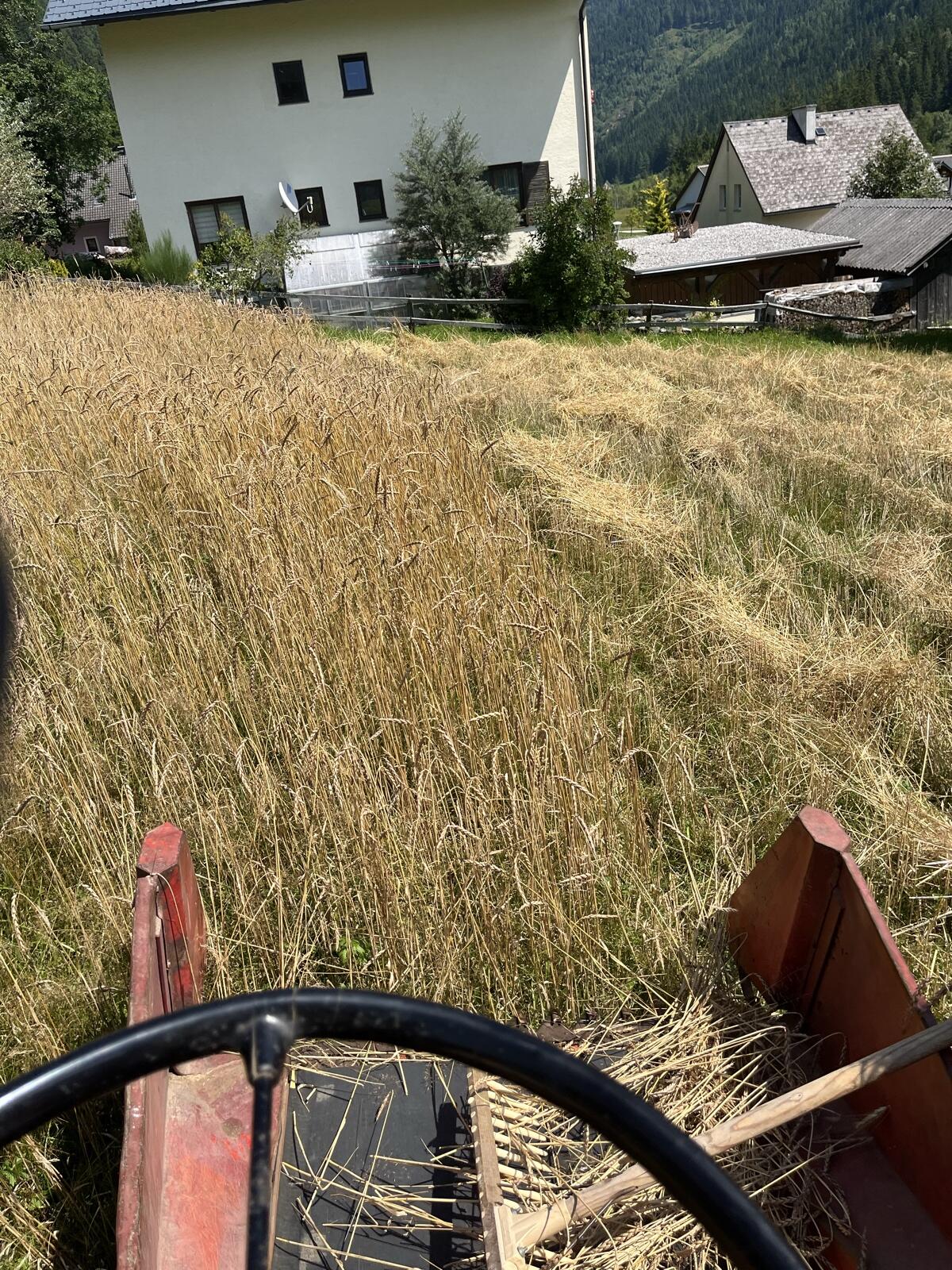 Parzellendrescher Hege 125 2