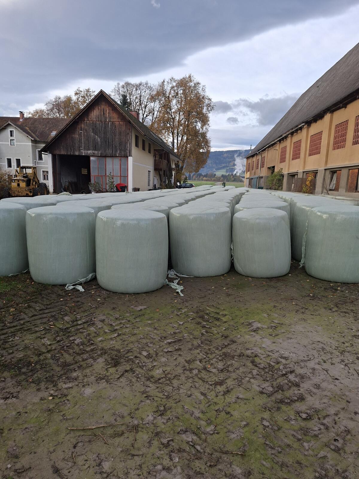 Silomaisballen 2025 1