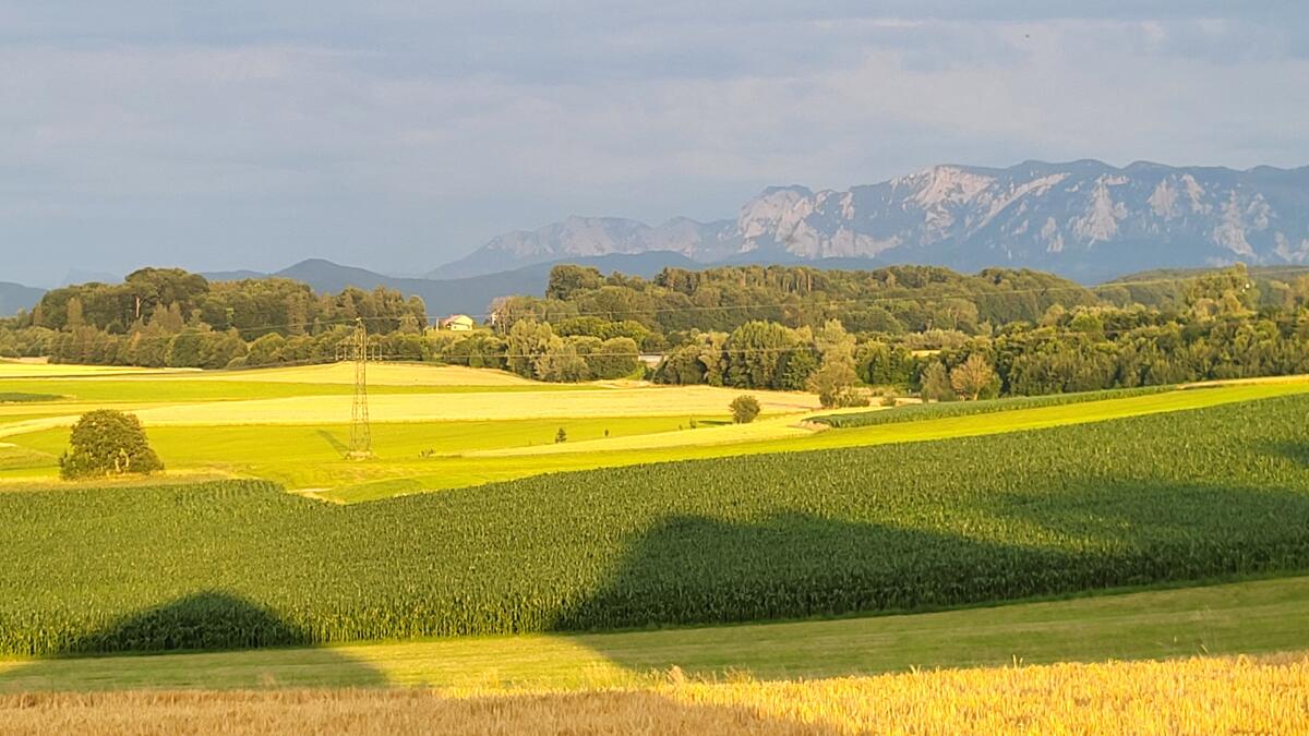 Gartengrundstück zu kaufen gesucht 1