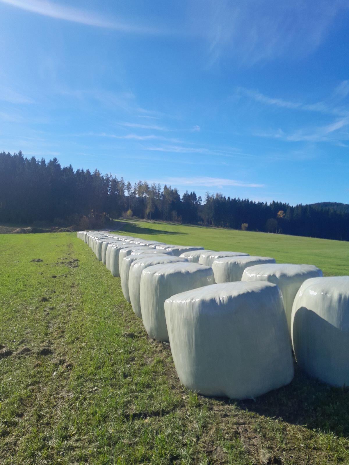 Verkaufe Grassilage-Rundballen 1