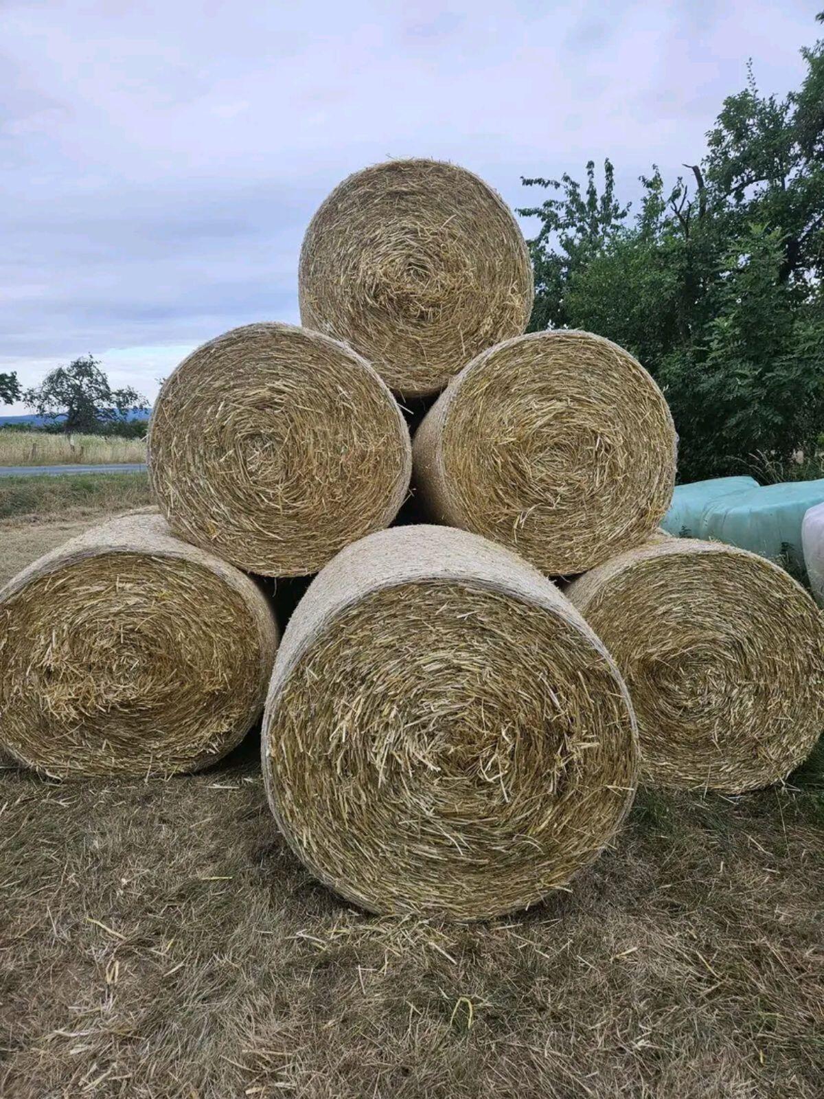 Heuballen 1