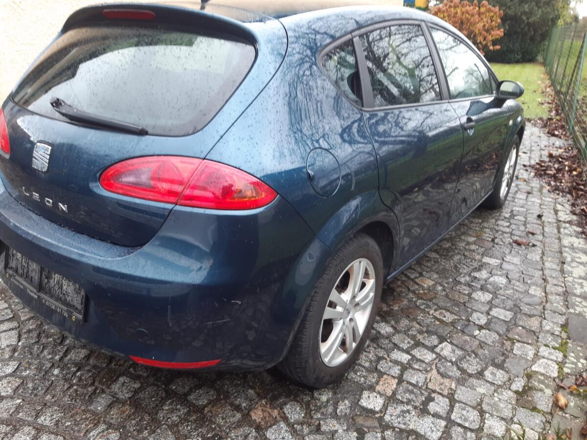 PKW Seat Leon Salsa 2