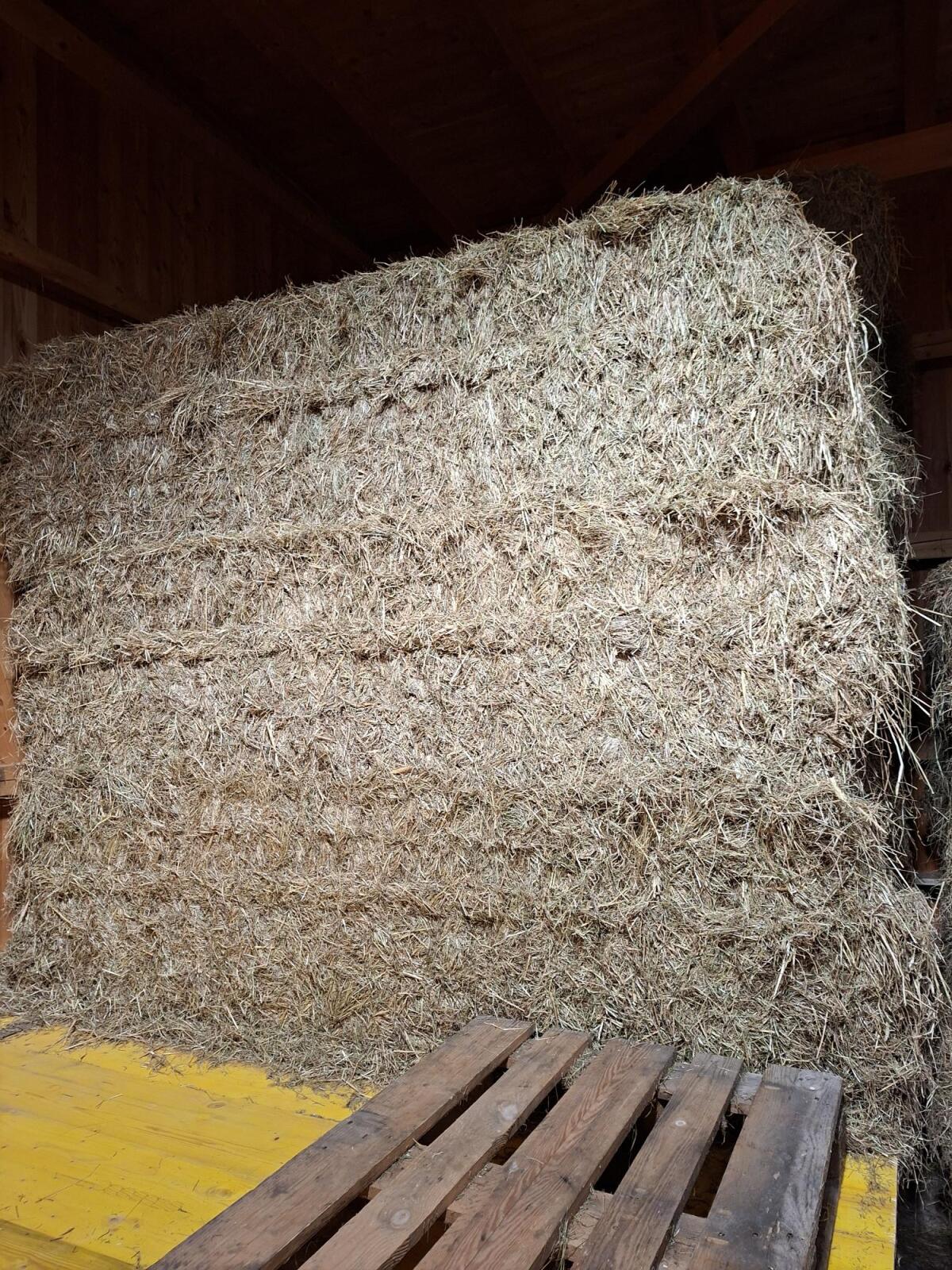 Heu - Quaderballen 3