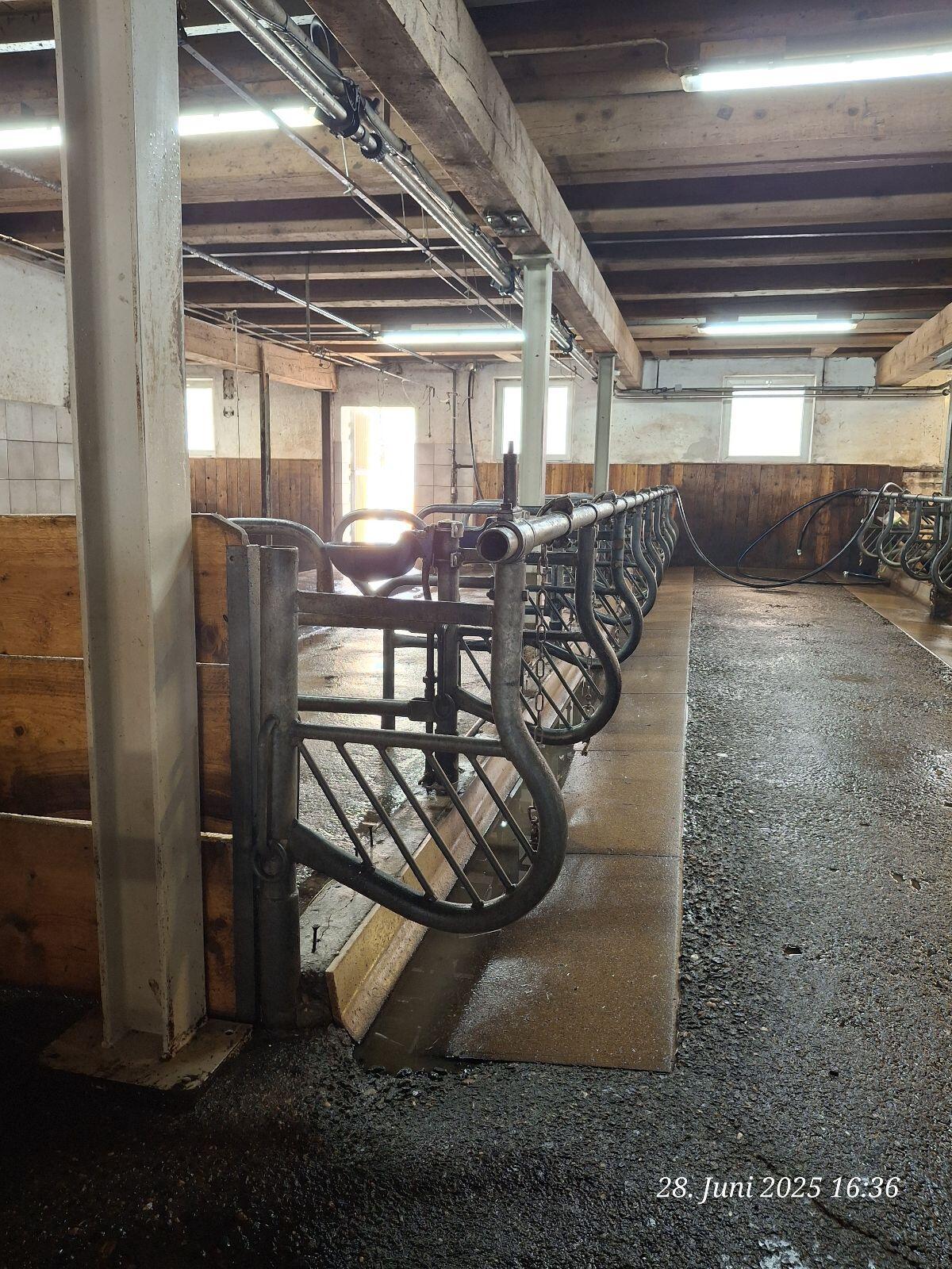 Verkaufe Nackenrohrausstallung 3