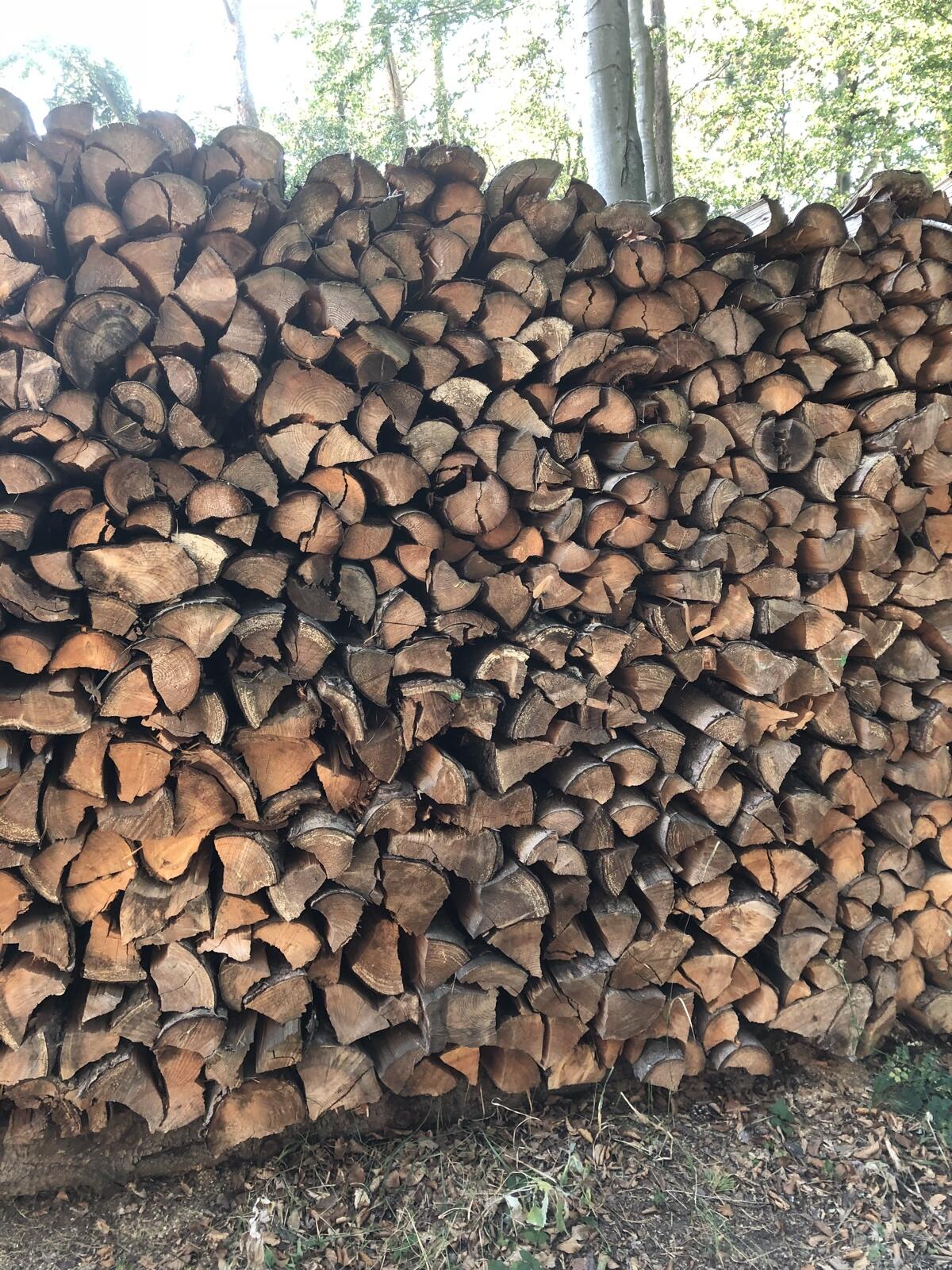 Brennholz Fichte 1