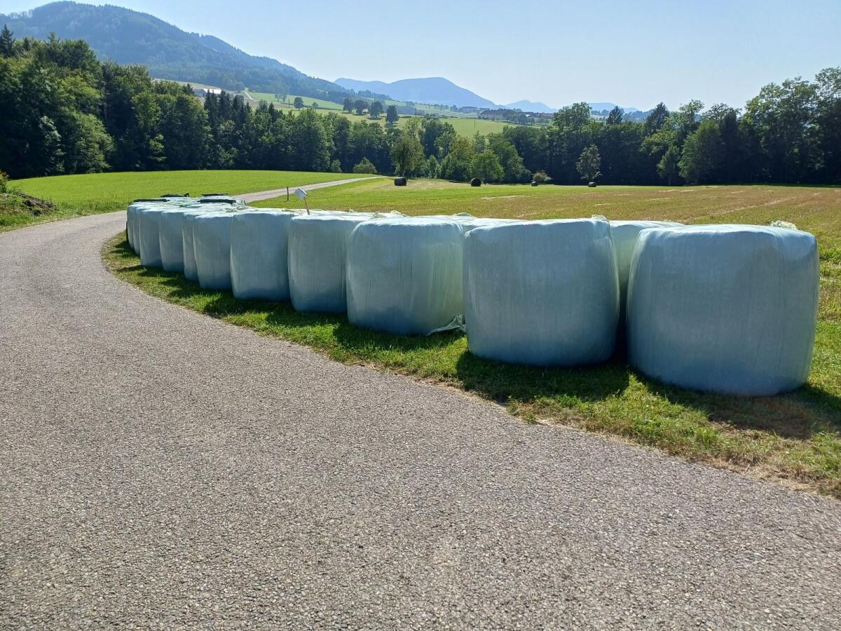 Verkaufe Bio-Silageballen 1