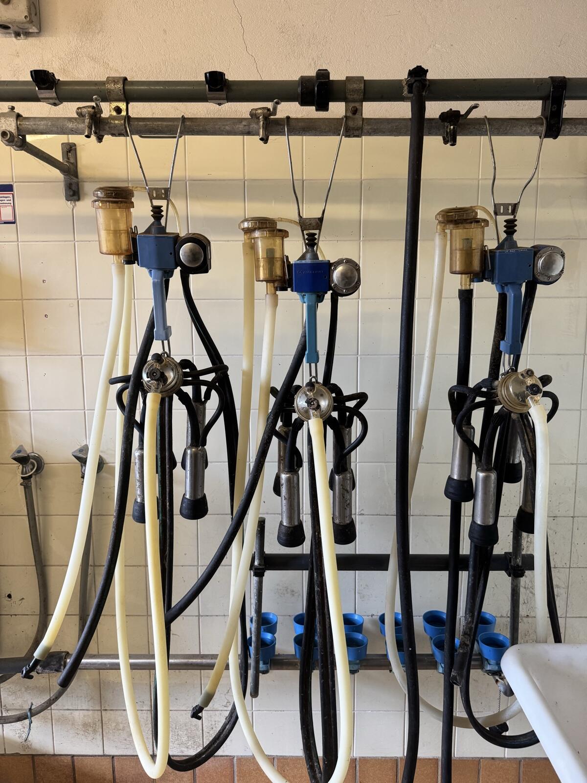 Rohrmelkanlage / Milchtank 1.000 l 2