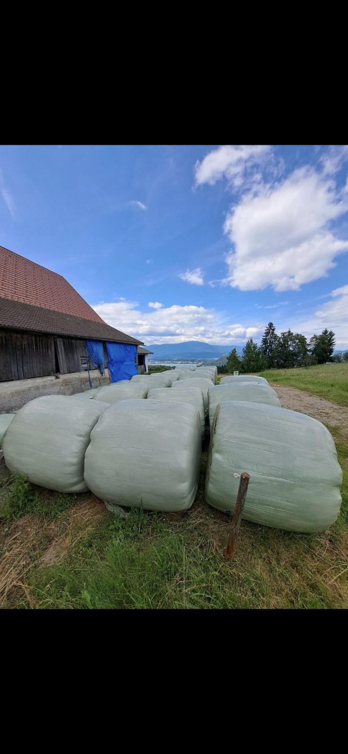 Silageballen 2