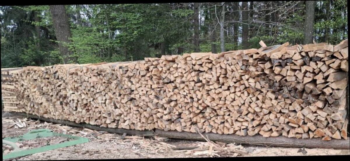 Buchenbrennholz 2