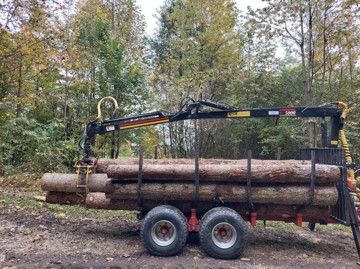 Rückewagen Maskiner SP 5000, Forstanhänger mit Kran 2