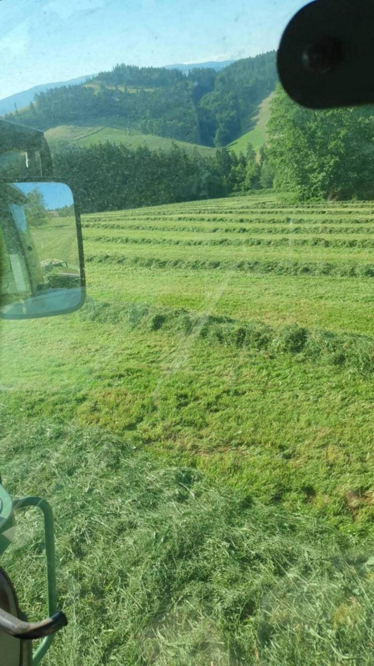 Verkaufe Heu-, Silage- und Maissilageballen 1