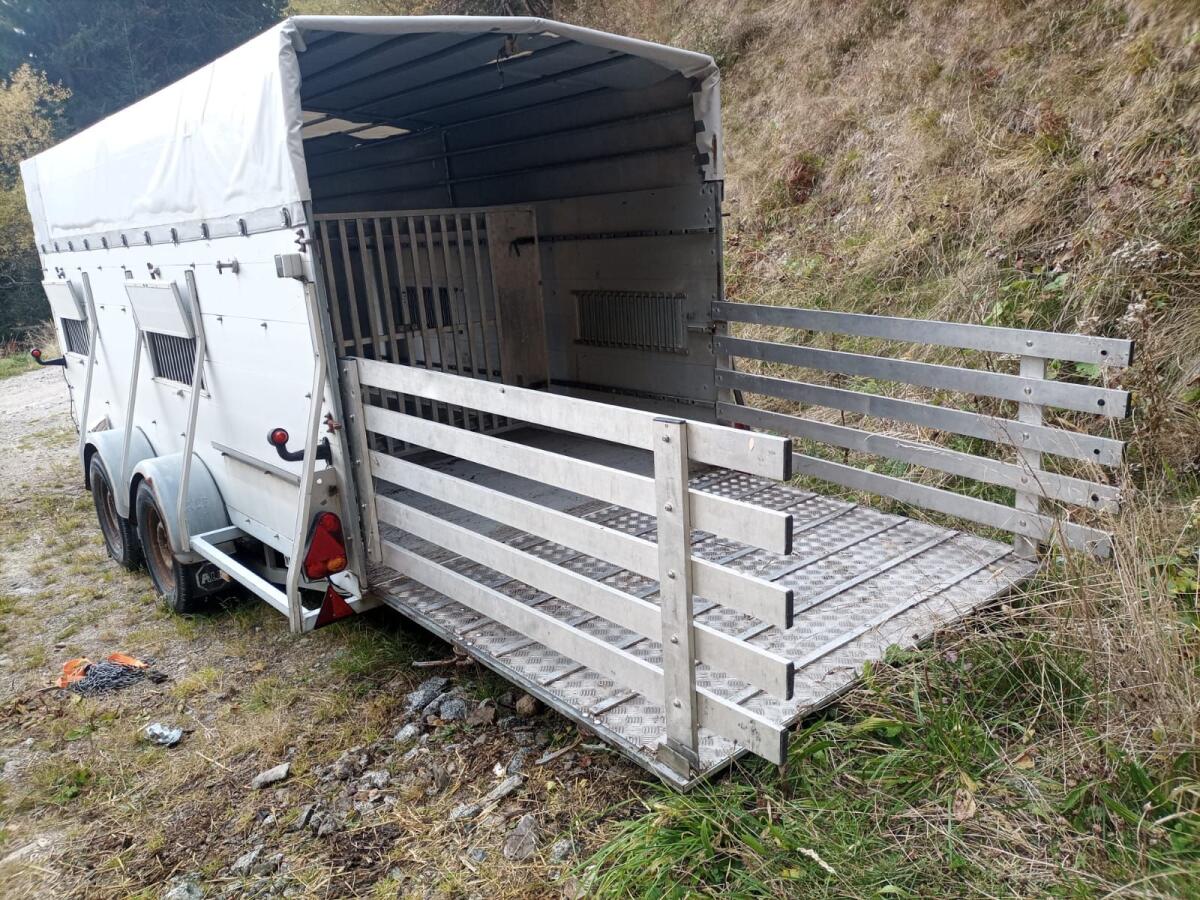 Alf Viehtransporter 1