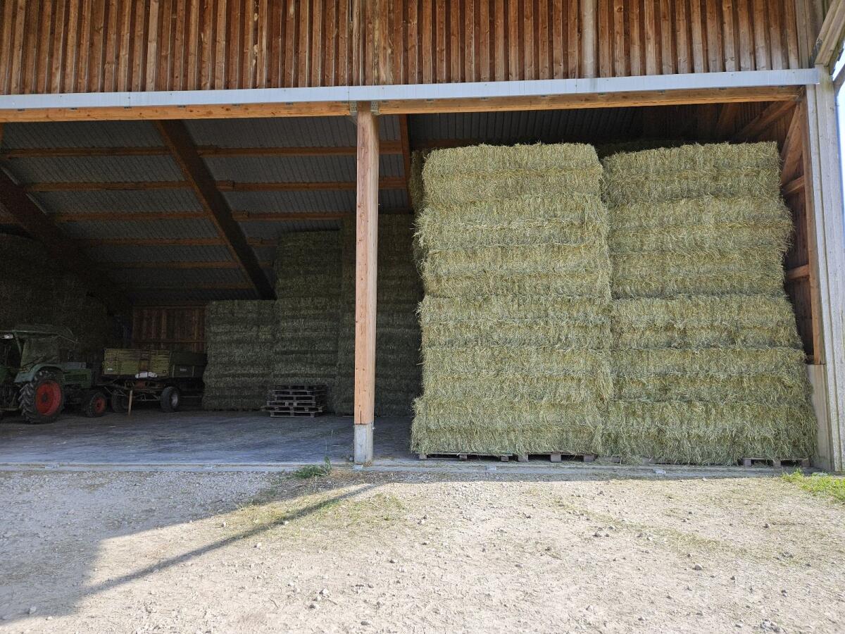 Heuballen zu verkaufen 1