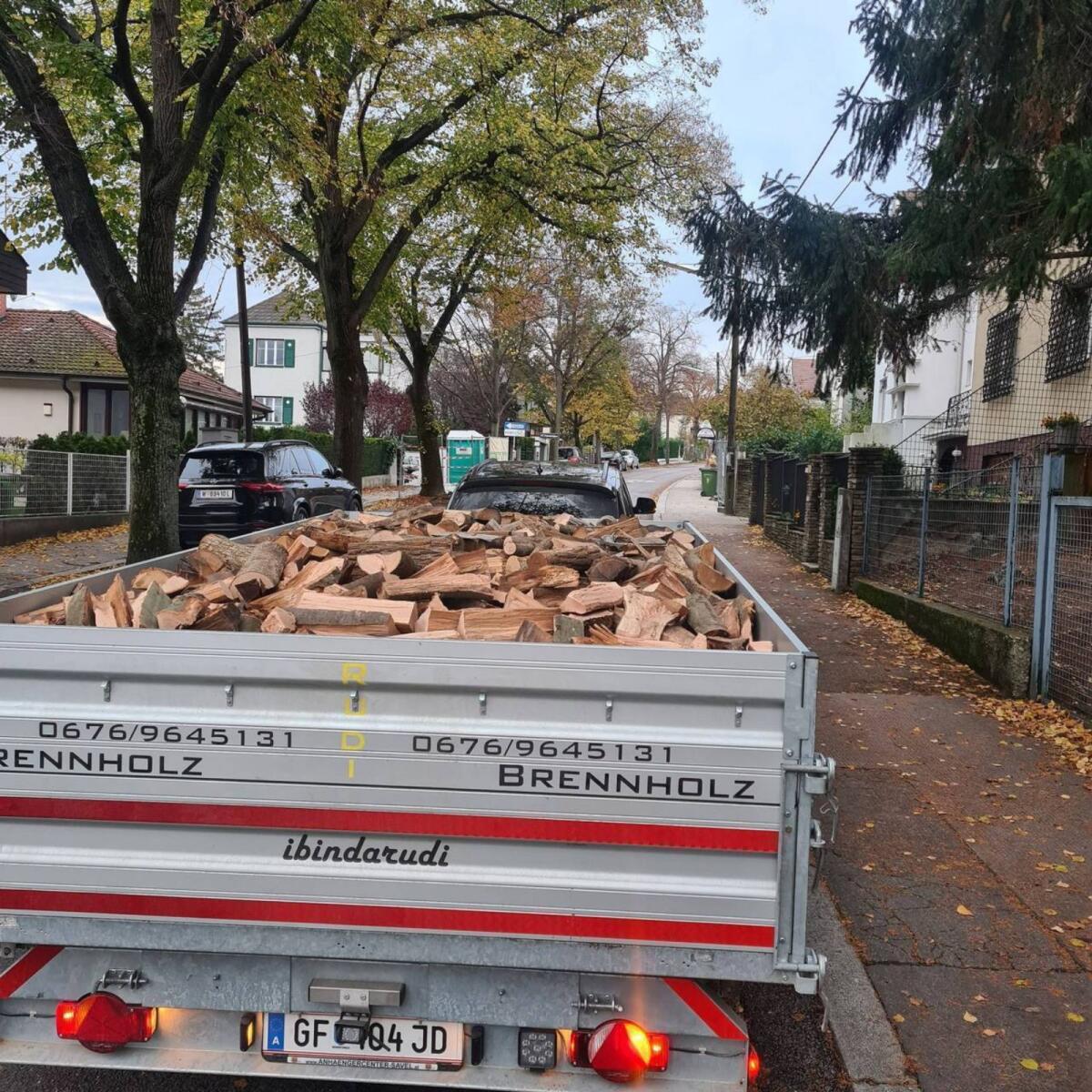 Brennholz Hartholz Esche, Eiche 1