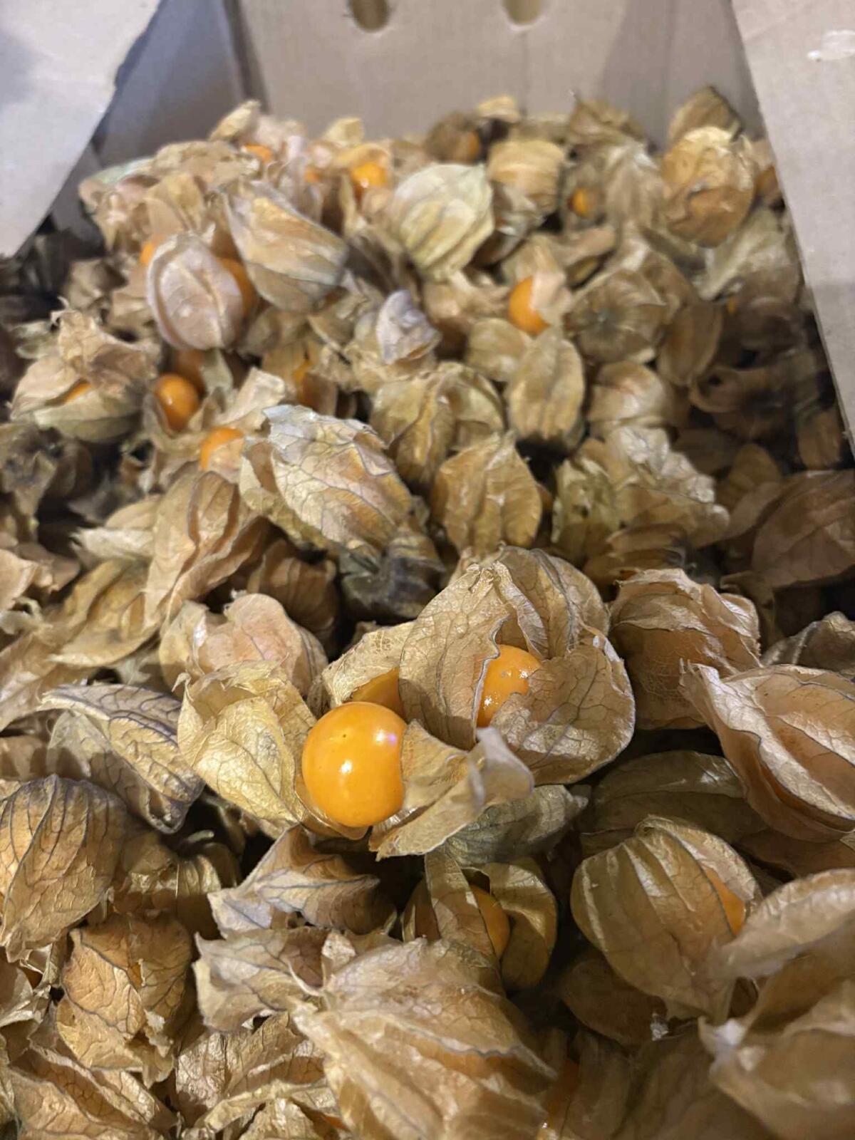 Miechunka kolumbijska – egzotyczny smak und Vitamine 1