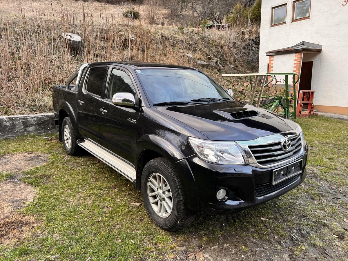 Suche Pickups und Nutzfahrzeuge, Hilux Ranger Amarok 1