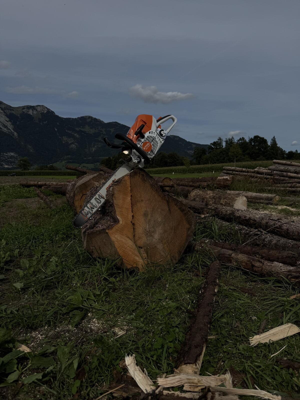 Forstfachmännische Arbeit 1