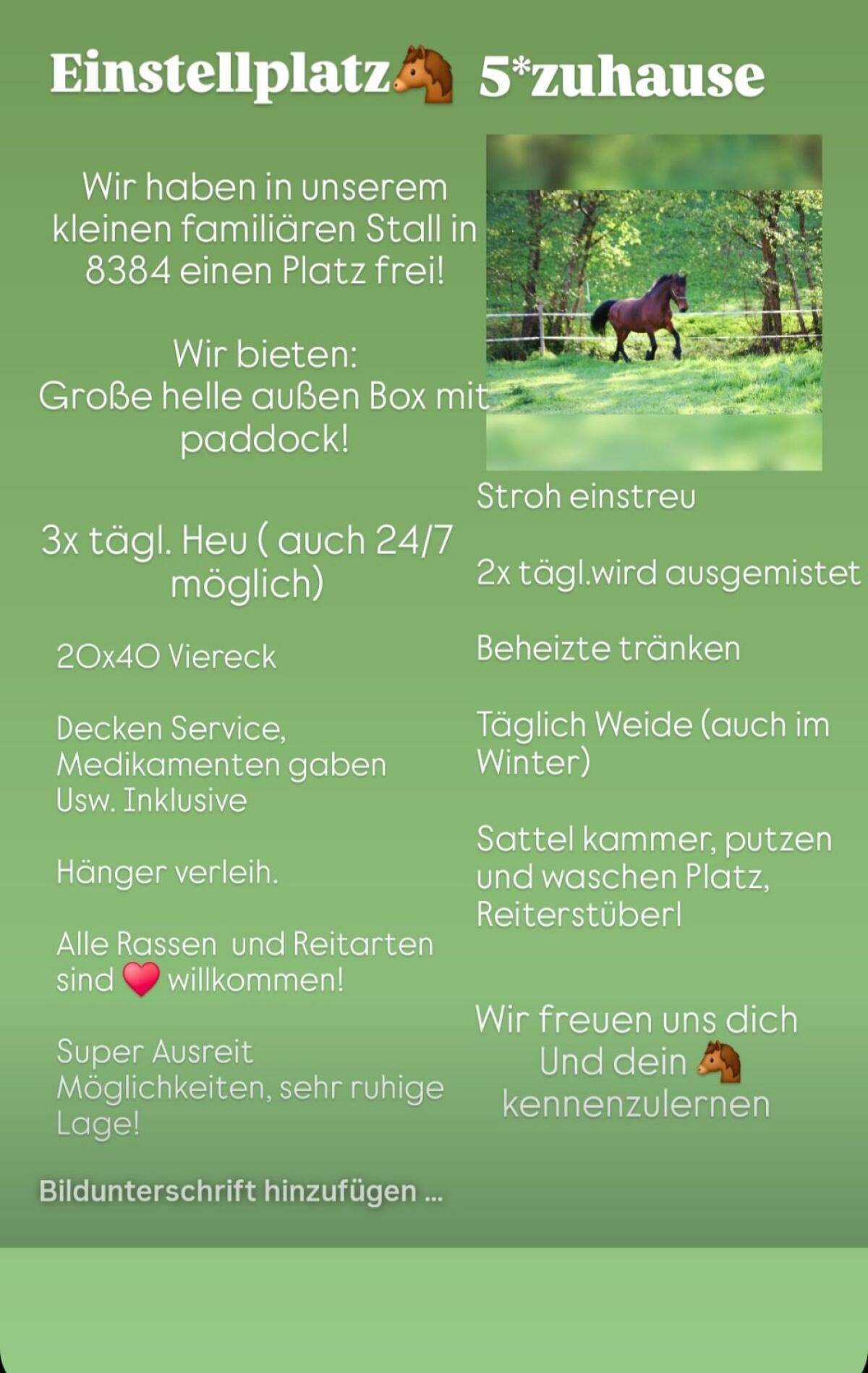 Einstellplatz 2