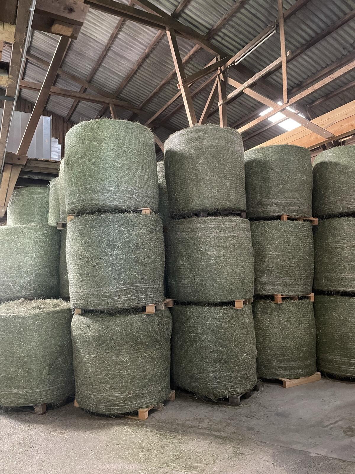 Heu 1. und 2. Schnitt 1