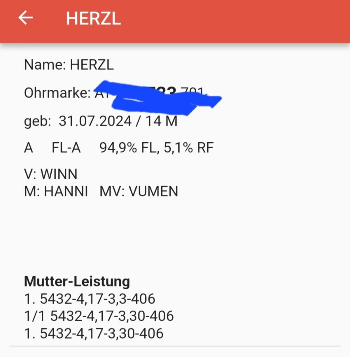 Belegfähige Fleck Kalbin 2