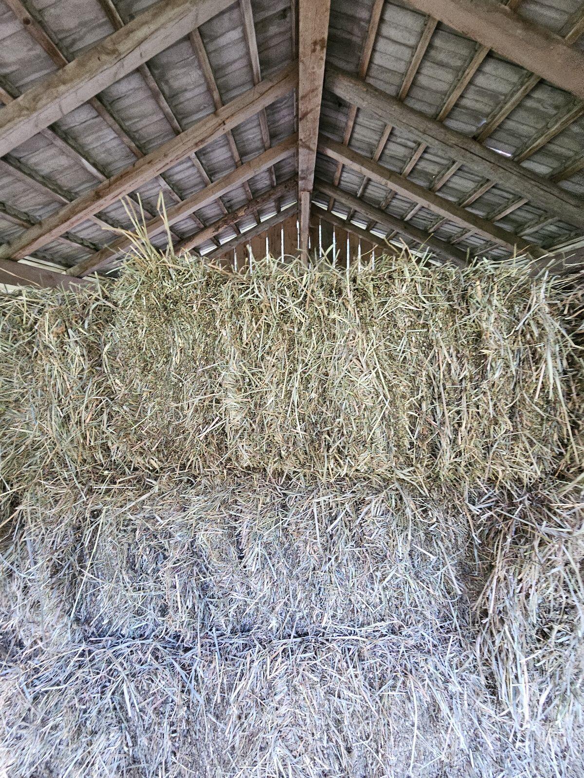 Heu/Gruamat in Kleinballen 1