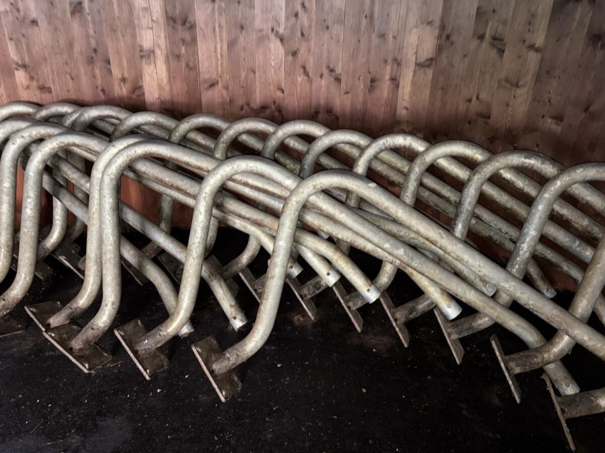 Fressplatzabtrennung Bügel SSV Großvieh mit Bodenplatte 2