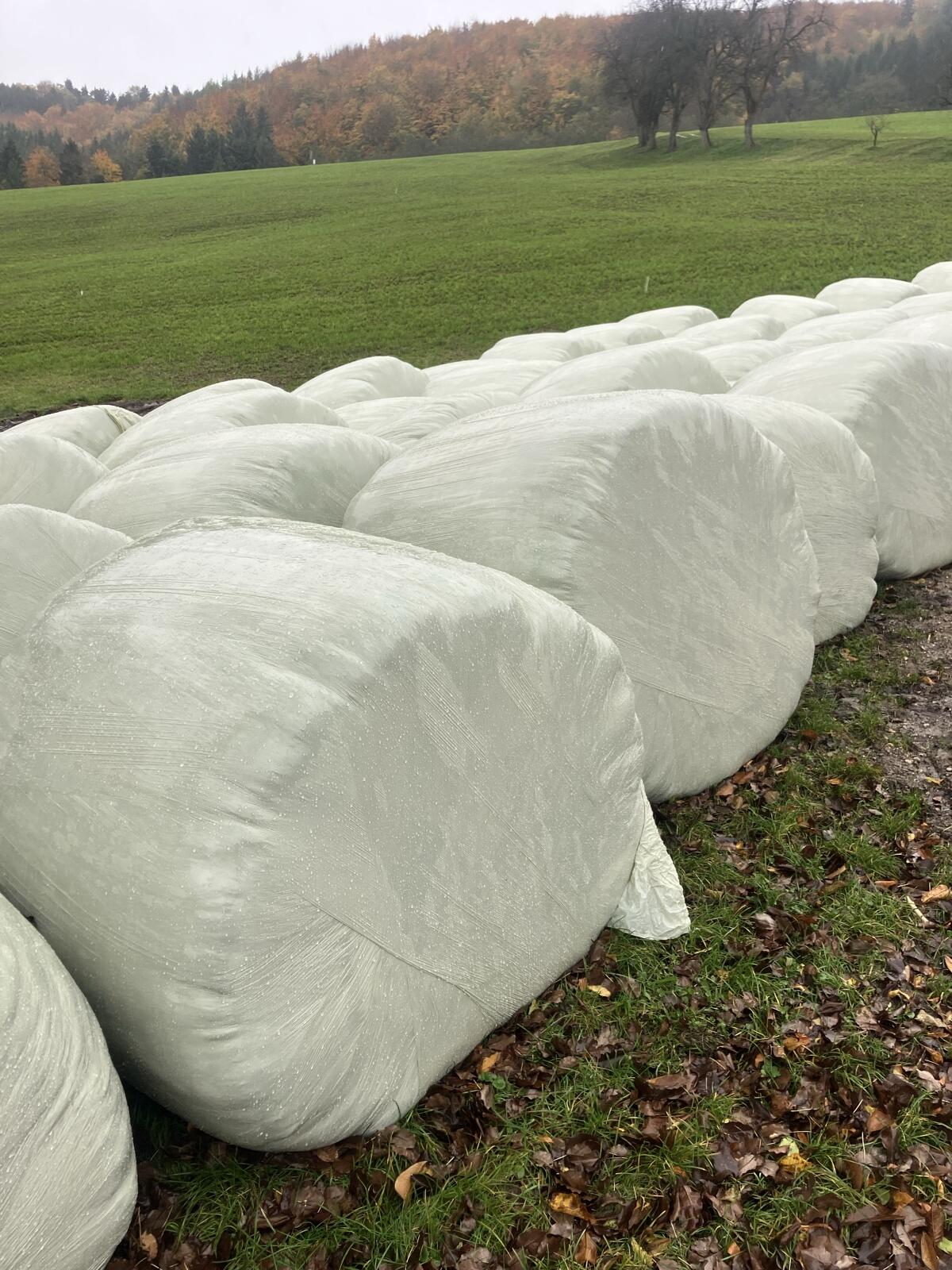 Silageballen 1